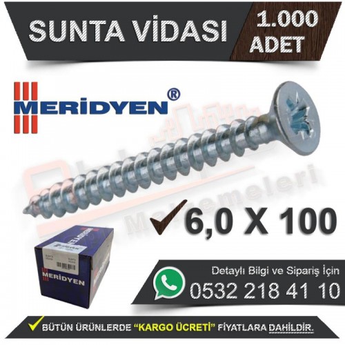 6x100 Sunta Vidası 100 Adet | Meridyen